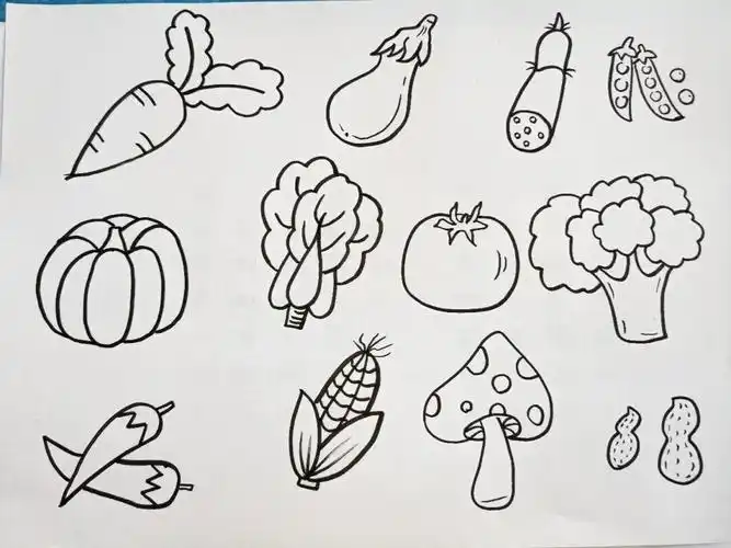 各种好吃的蔬菜简笔画集