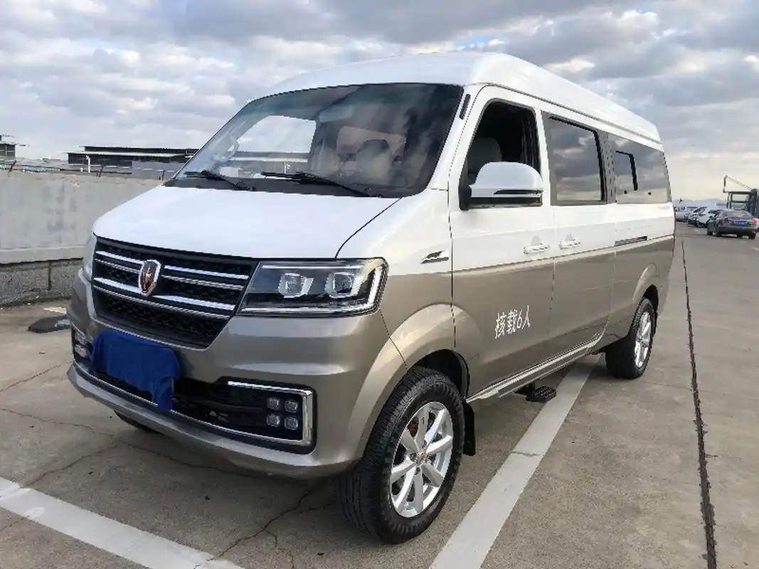 99万元 上牌日期:2021年1月 车辆车型:面包车 车辆产地:国产 车辆颜色