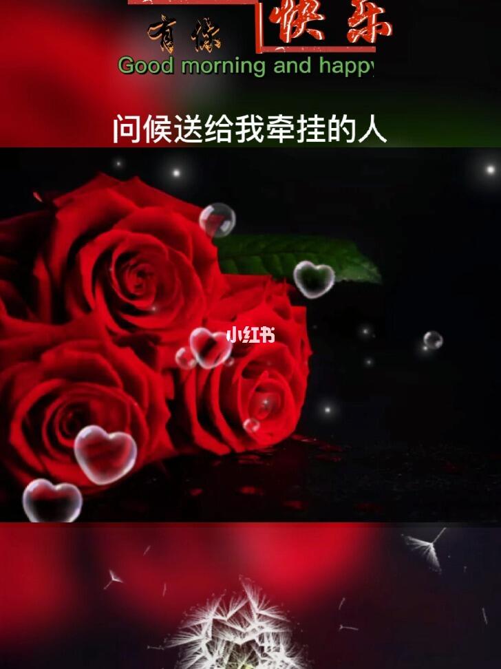 快乐送给我关心的人,问候送给我牵挂的人,幸福送给我惦记的人_怀化