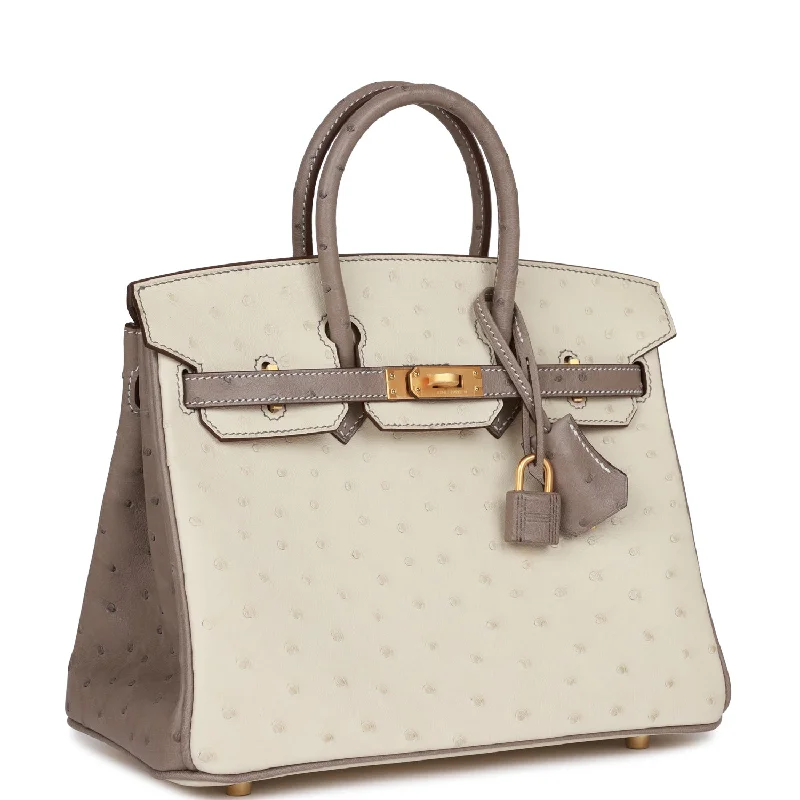 Hermes Special Order (HSS) Birkin 25 Beton and Gris Asphalte Ostrich Brushed Gold Hardware